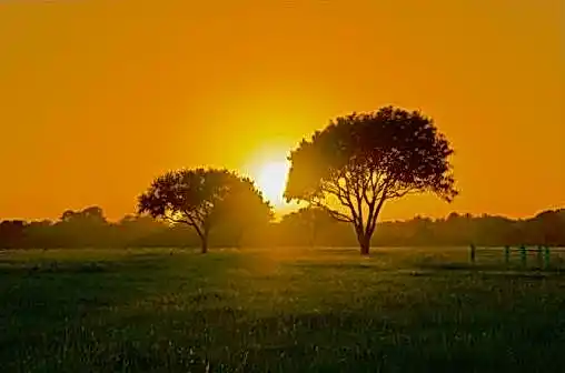 Sykaaa скачать 85fa4f